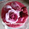 Rosa e Macarons naked cake