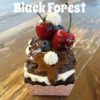 Black Forest 11 x 7 cm