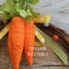 Ghirlanda Rabbit & Carrots