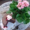 Torta Choco con fetta tagliata 15 cm
